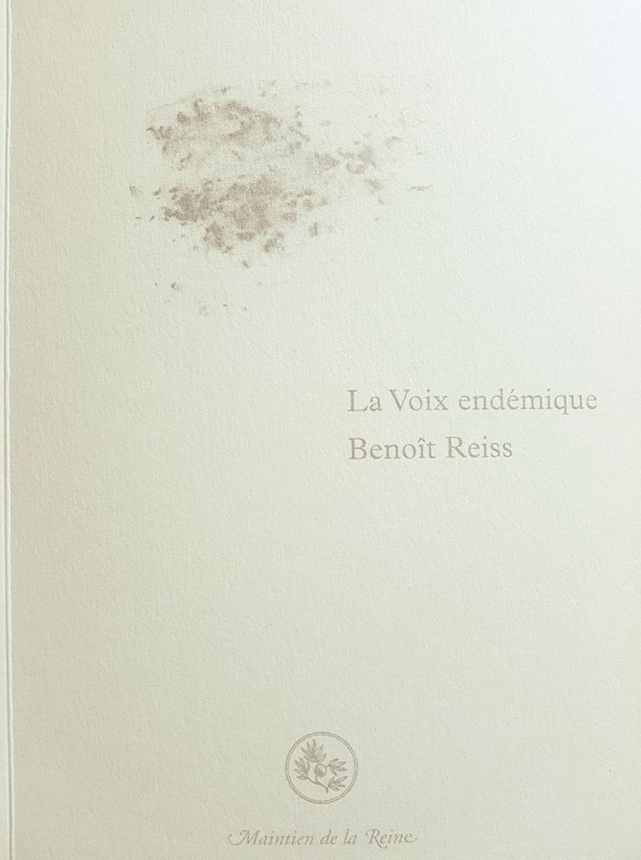 Couverture de La Voix endémique